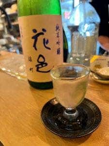 路地裏のサニー Noraneko St.