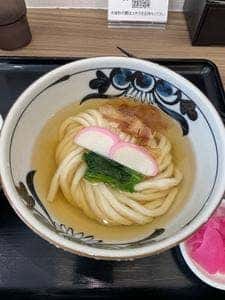 うどん カツ丼 一丁