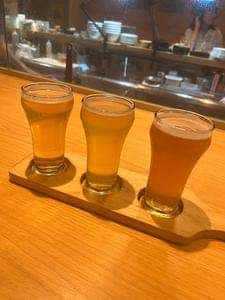 月と太陽BREWING miredo店