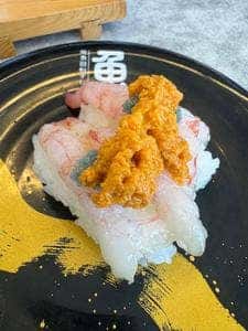 地魚 回転寿司 魚どんや