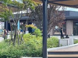 スターバックス コーヒー ふかや花園プレミアム・アウトレット店