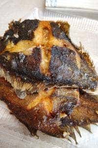 漁師の直売店 浜の母さん食事処
