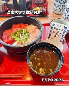 近畿大学水産研究所 大阪・関西万博 ウォータープラザ店