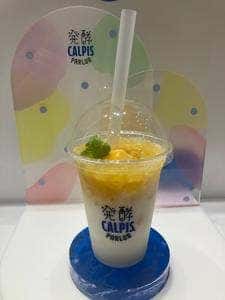 発酵 CALPIS PARLOR