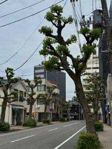 戸田