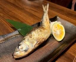 炉端炭火焼き とらまつ