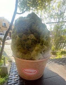 甘味処 山田屋