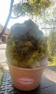 甘味処 山田屋