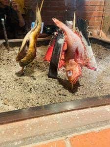 炉端 北のマルコ