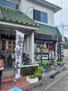 大海