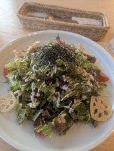 さがれすとらん 志乃 空港店