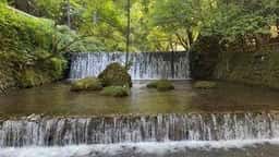 貴船 水源の森 天山