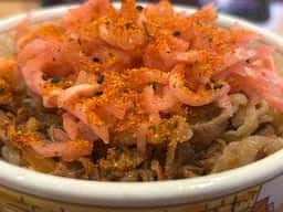 すき家 川崎西生田店