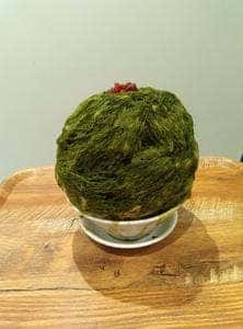 の、