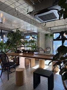 Spice Cafè -neem-