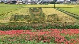 和製中華 ごいち326