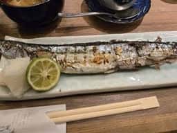 魚酒菜や マルニ槇