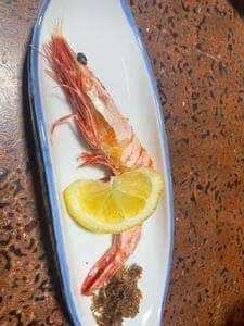 よしはる
