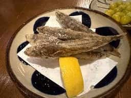魚浪人