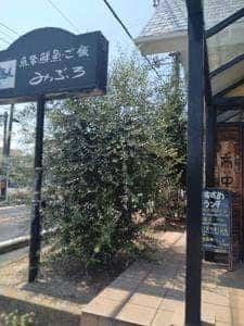みぶろ