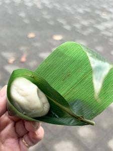 麩帆