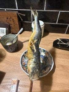 備長炉端 だいやめ 天満店