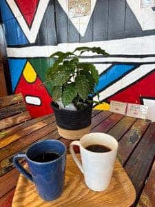 Rainbow cafe 名取店