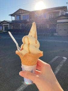 みちのく懐かしの味 あきたプリン亭