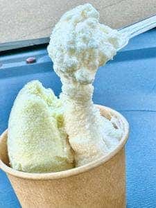 ウミヨコスタンド