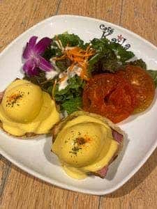 カフェカイラ 舞浜店