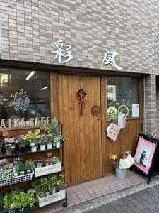 彩風