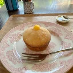 紅茶と焼き菓子 TeaSpring