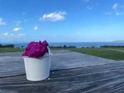 石垣島 ミルミル本舗