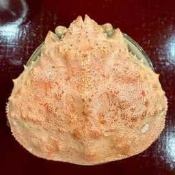 鮨なが井