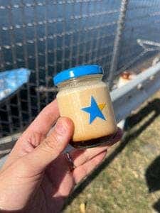 江の島プリン
