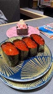 回転寿司 根室花まる ココノススキノ店