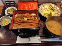 めし処 たつのや
