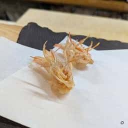 天ぷら みさき