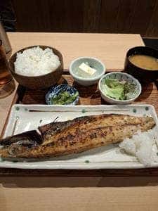 芝松