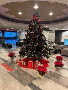 レストラン アヴァンツァーレ ホテル紅や