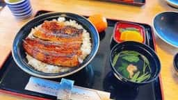 うなぎ曳馬