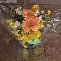 ピネード植田店
