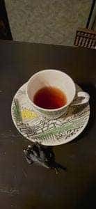 喫茶こくん
