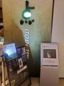 伊藤園点