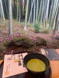 休耕庵 竹の庭の茶席