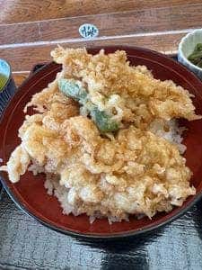 天竹