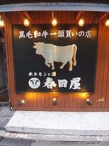 ホルモンと酒 春田屋