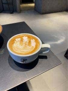 Philocoffea 201