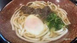 市莉樹