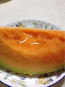 湯元白金温泉ホテル